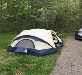 Camper-submitted photo from Virginia's Beach Campground