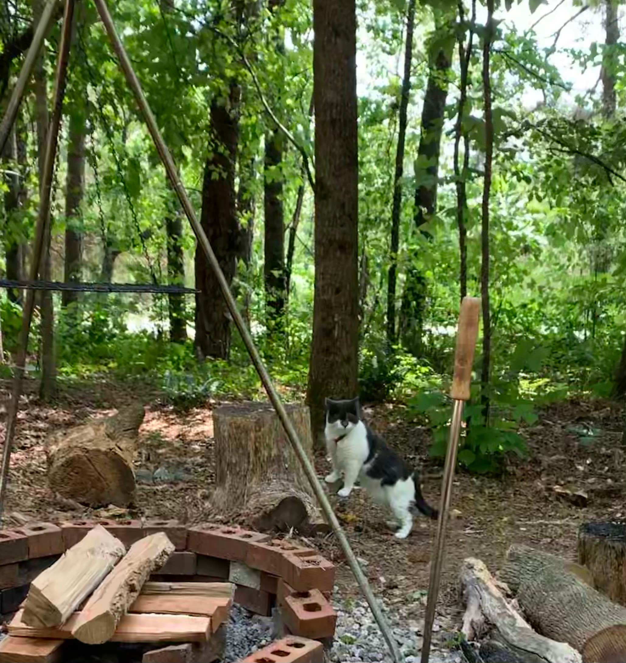 David & Beth N.'s photo of camping with pets at Eden Oaks Vineyard and Campground near Elkin, NC