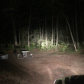 Review photo of Newaygo State Park Campground by Ryan L T., September 19, 2021
