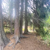 Review photo of Spruces - Big Cottonwood by Tom J., September 19, 2021