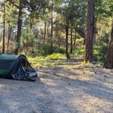 Review photo of Rose Canyon Campground by Elizabeth M., September 19, 2021