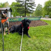 Review photo of Stonelick State Park Campground by Andrea F., September 19, 2021