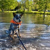 Review photo of Stonelick State Park Campground by Andrea F., September 19, 2021