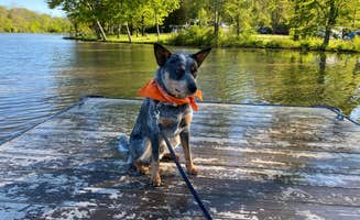 Andrea F.'s photo of camping with pets at Stonelick State Park Campground near Paint Creek Lake