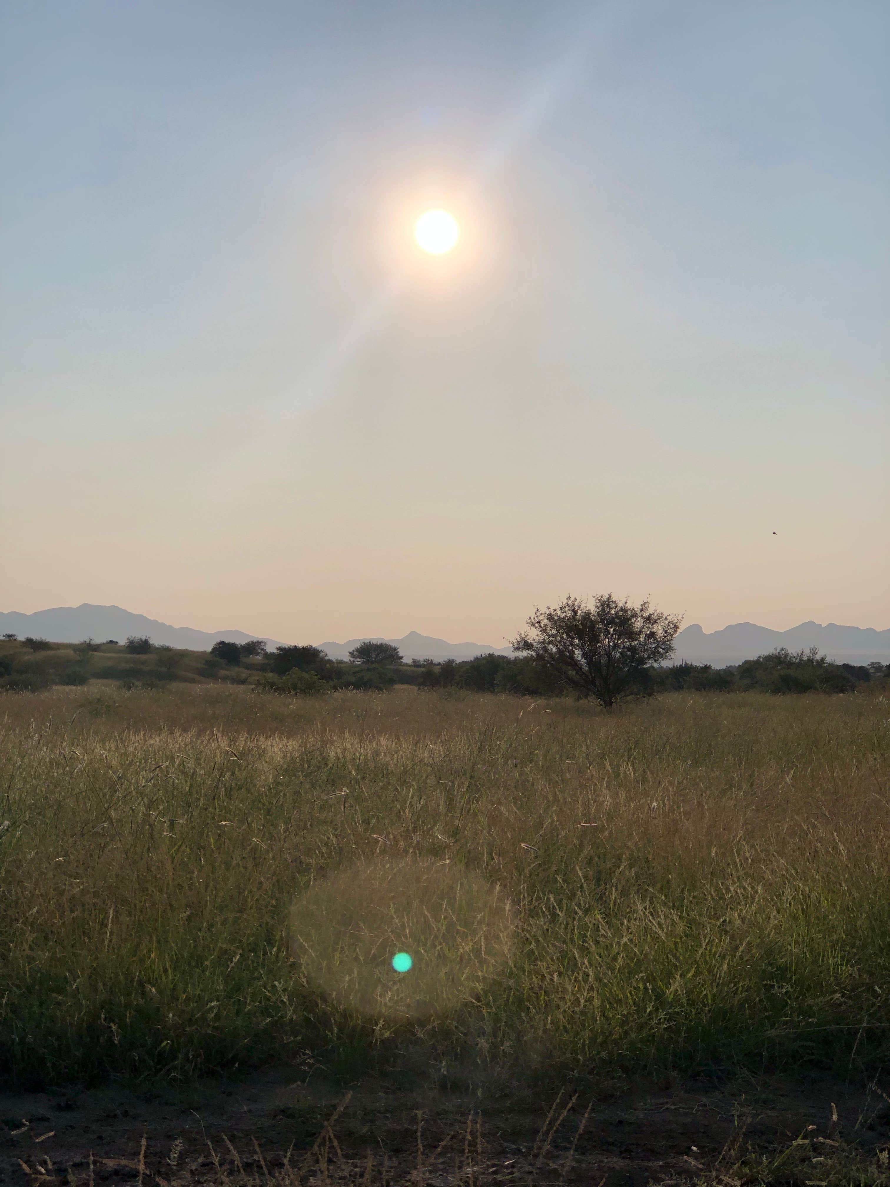 Camper-submitted photo at Kentucky Camp near Sonoita, AZ