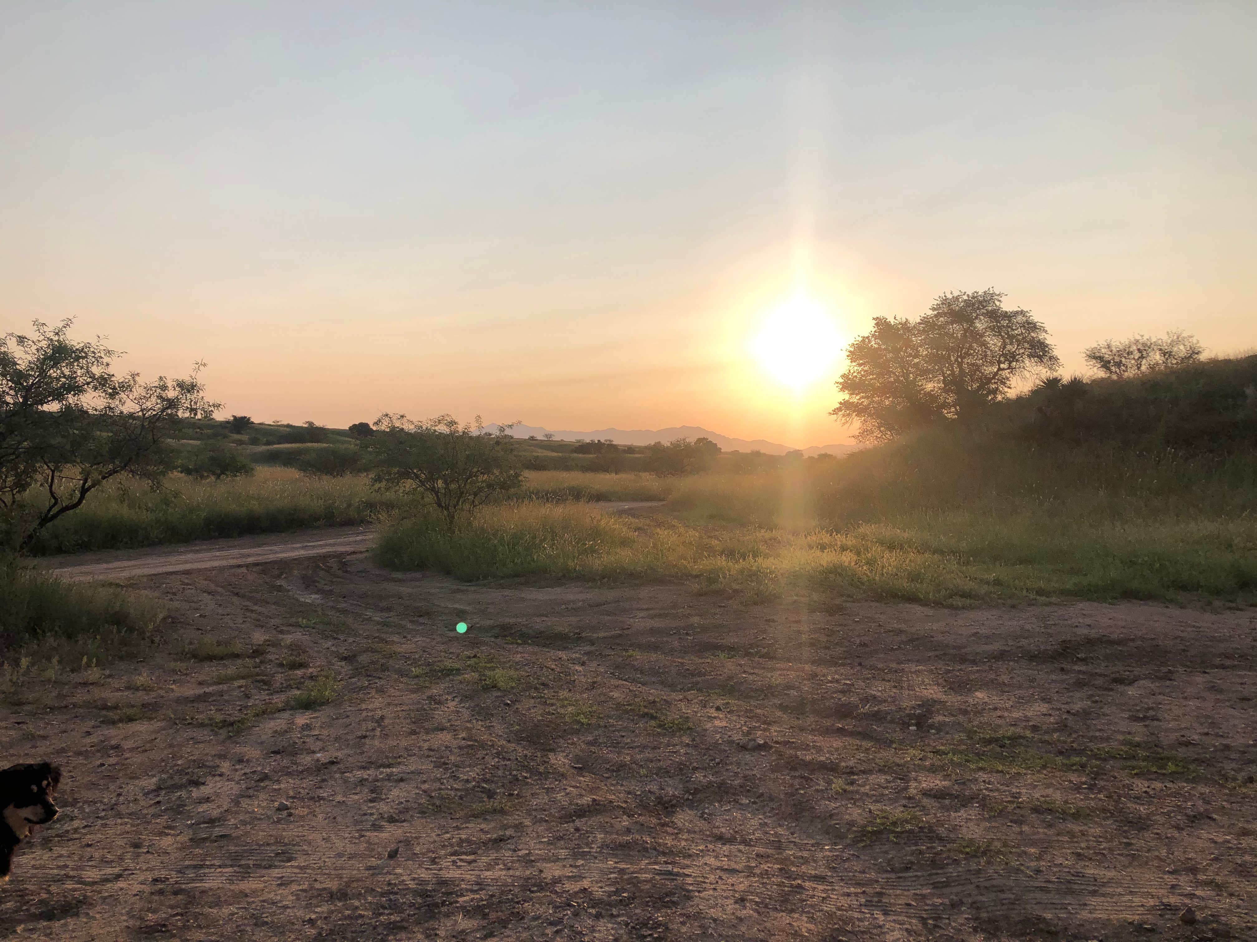 Lindsay O.'s photo of a dispersed camping area at Kentucky Camp near Nogales, AZ