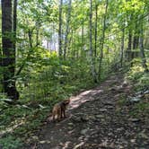 Review photo of Jay Cooke State Park Campground by Mandee L., September 20, 2021