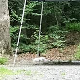 Review photo of Davidson River Campground by Sandy O., June 30, 2018