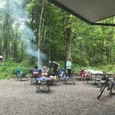Review photo of Davidson River Campground by Sandy O., June 30, 2018