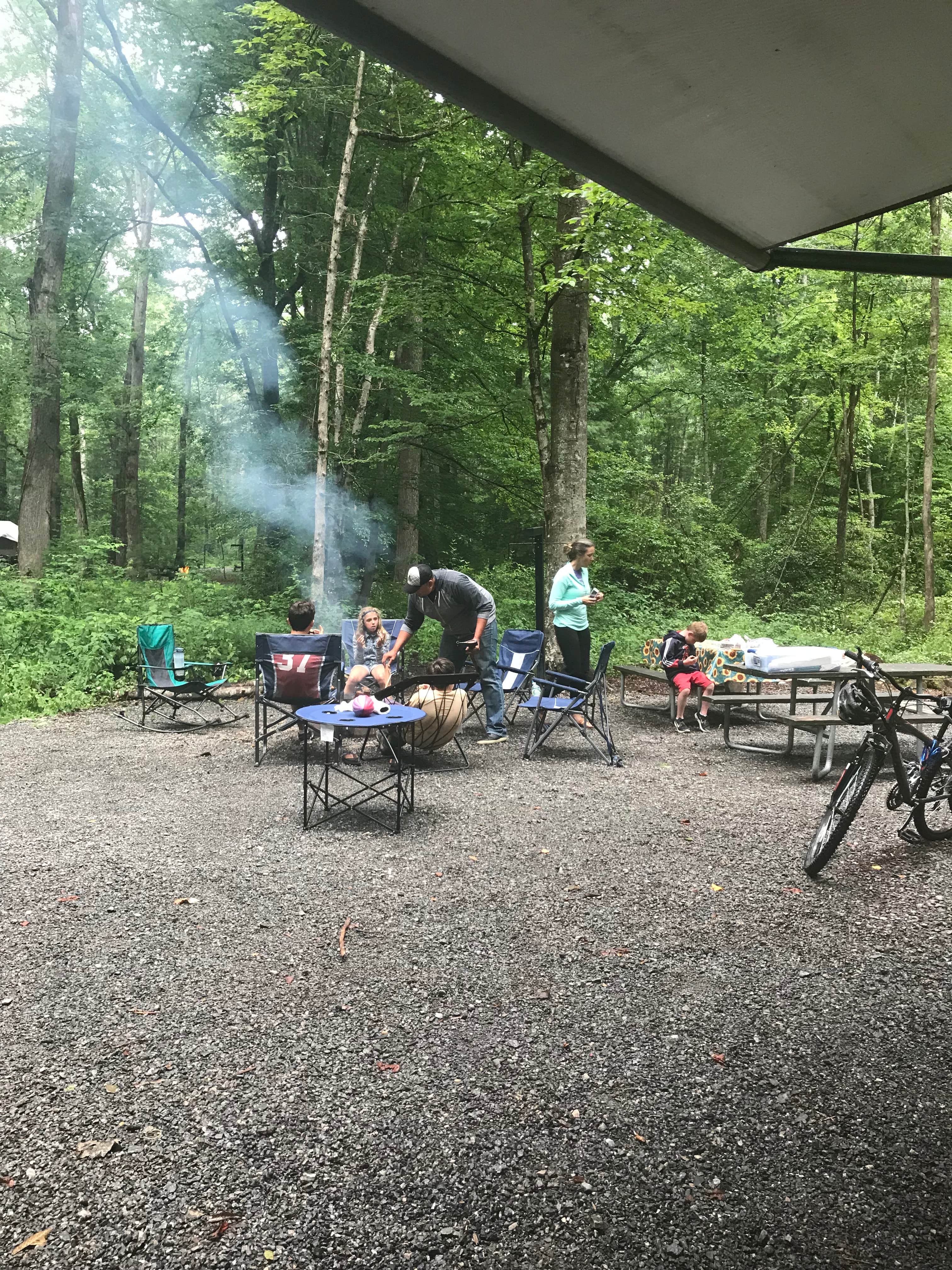 Camper submitted image from Davidson River Campground - 3