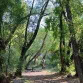 Review photo of Wood Camp Campground (Ut) — Uinta Wasatch Cache National Forest by GoWhereYouAreDraw N., September 20, 2021