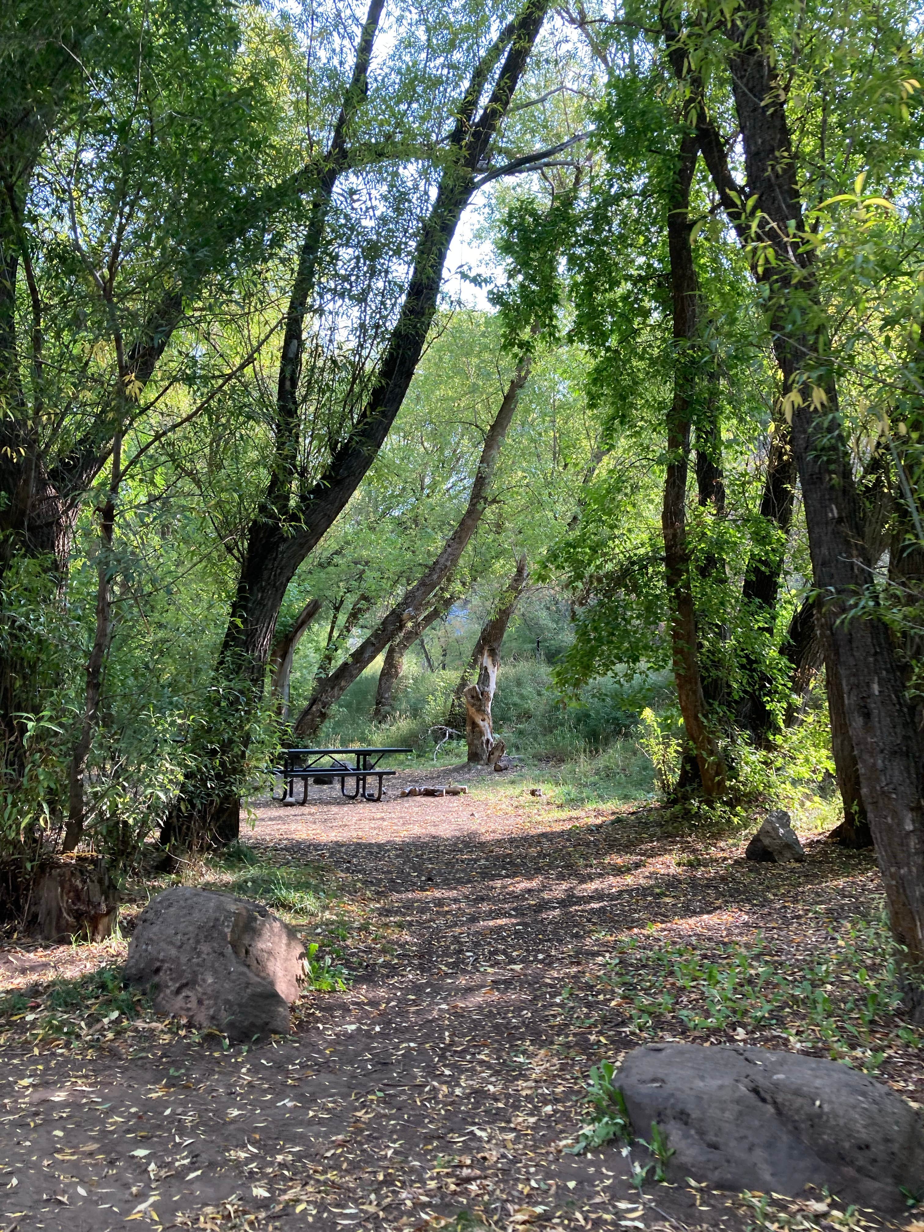 Camper submitted image from Wood Camp Campground (Ut) — Uinta Wasatch Cache National Forest - 1