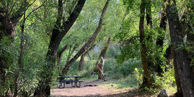 Camper submitted image from Wood Camp Campground (Ut) — Uinta Wasatch Cache National Forest