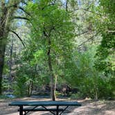 Review photo of Wood Camp Campground (Ut) — Uinta Wasatch Cache National Forest by GoWhereYouAreDraw N., September 20, 2021