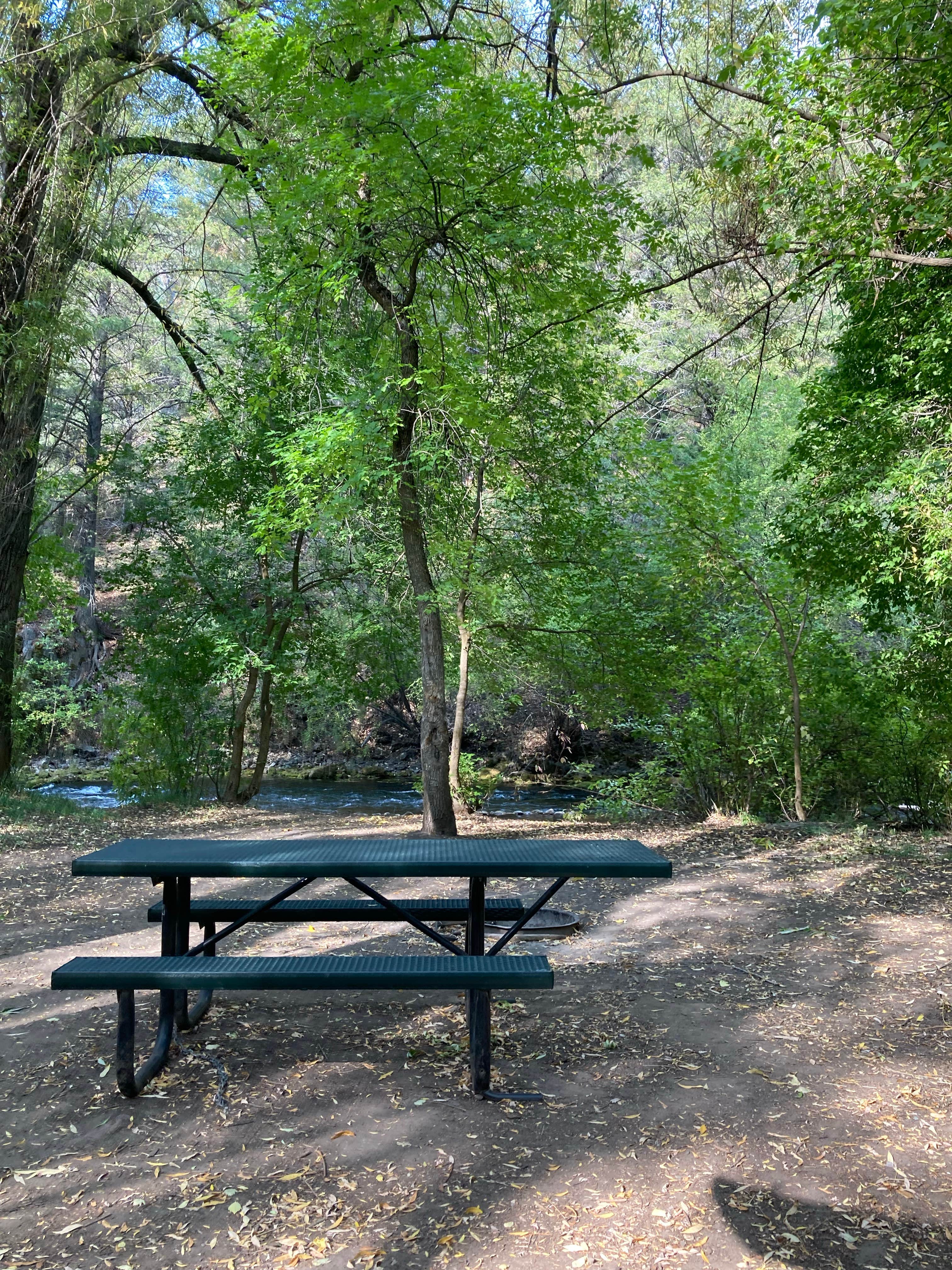 Camper submitted image from Wood Camp Campground (Ut) — Uinta Wasatch Cache National Forest - 3