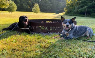 Andrea F.'s photo of camping with pets at East Fork State Park Campground near Manchester, OH