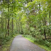 Review photo of East Fork State Park Campground by Andrea F., September 19, 2021