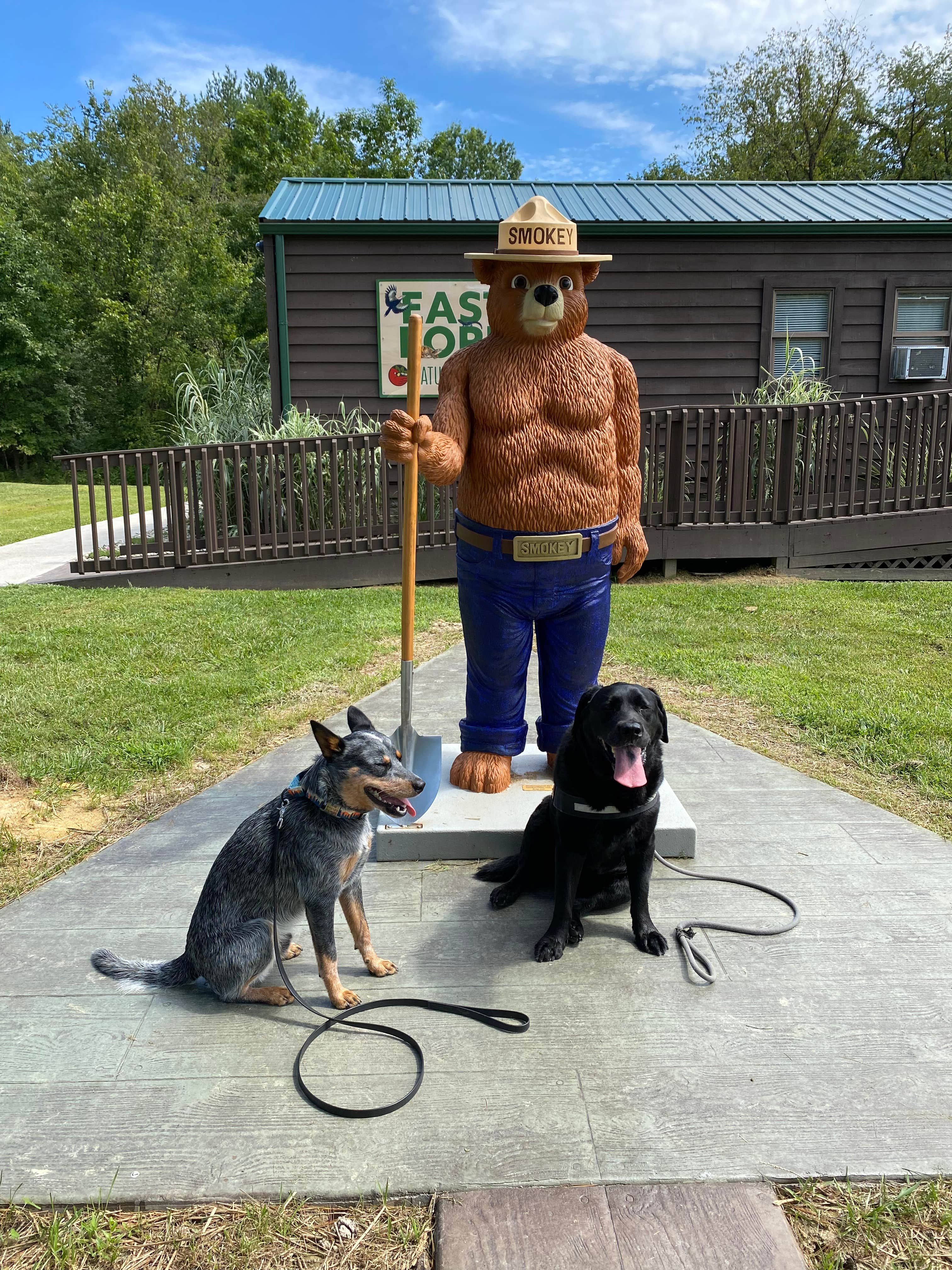 Andrea F.'s photo of camping with pets at East Fork State Park Campground near Cincinnati, OH