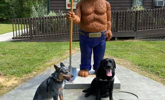 Andrea F.'s photo of camping with pets at East Fork State Park Campground near Manchester, OH