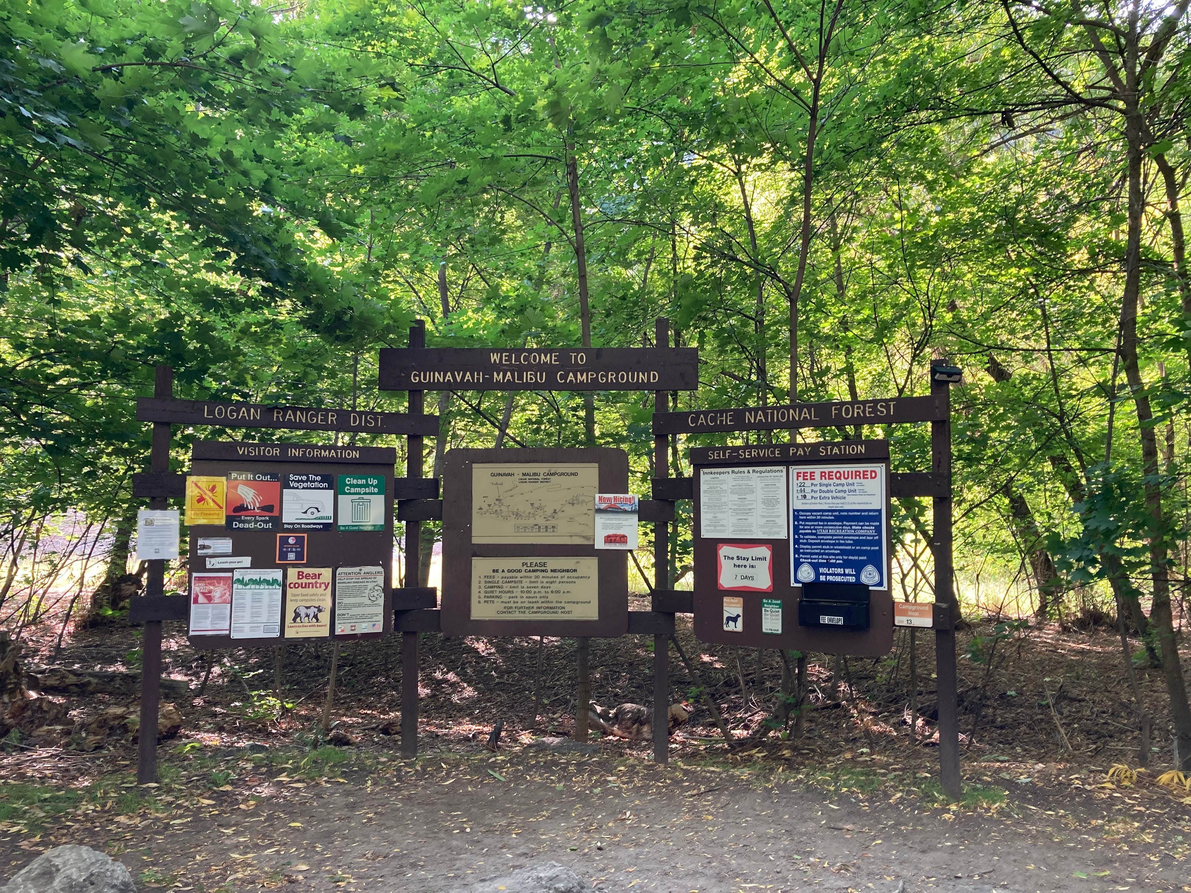 Camper-submitted photo at Guinavah - Malibu Campground near Logan, UT