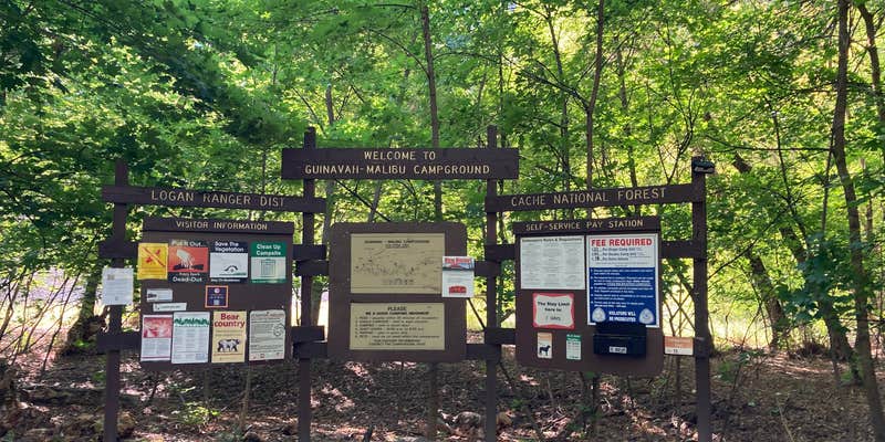 Camper submitted image from Guinavah - Malibu Campground