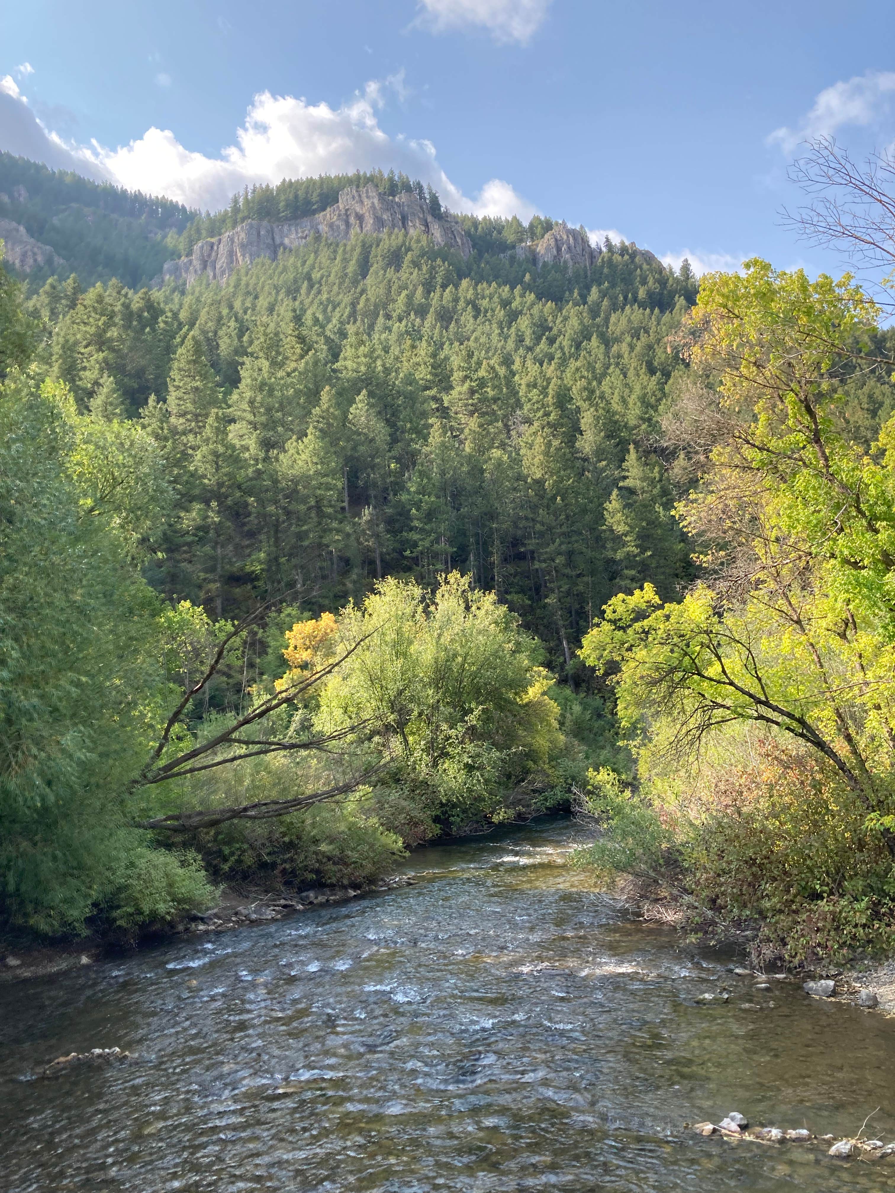 Camper submitted image from Guinavah - Malibu Campground - 5