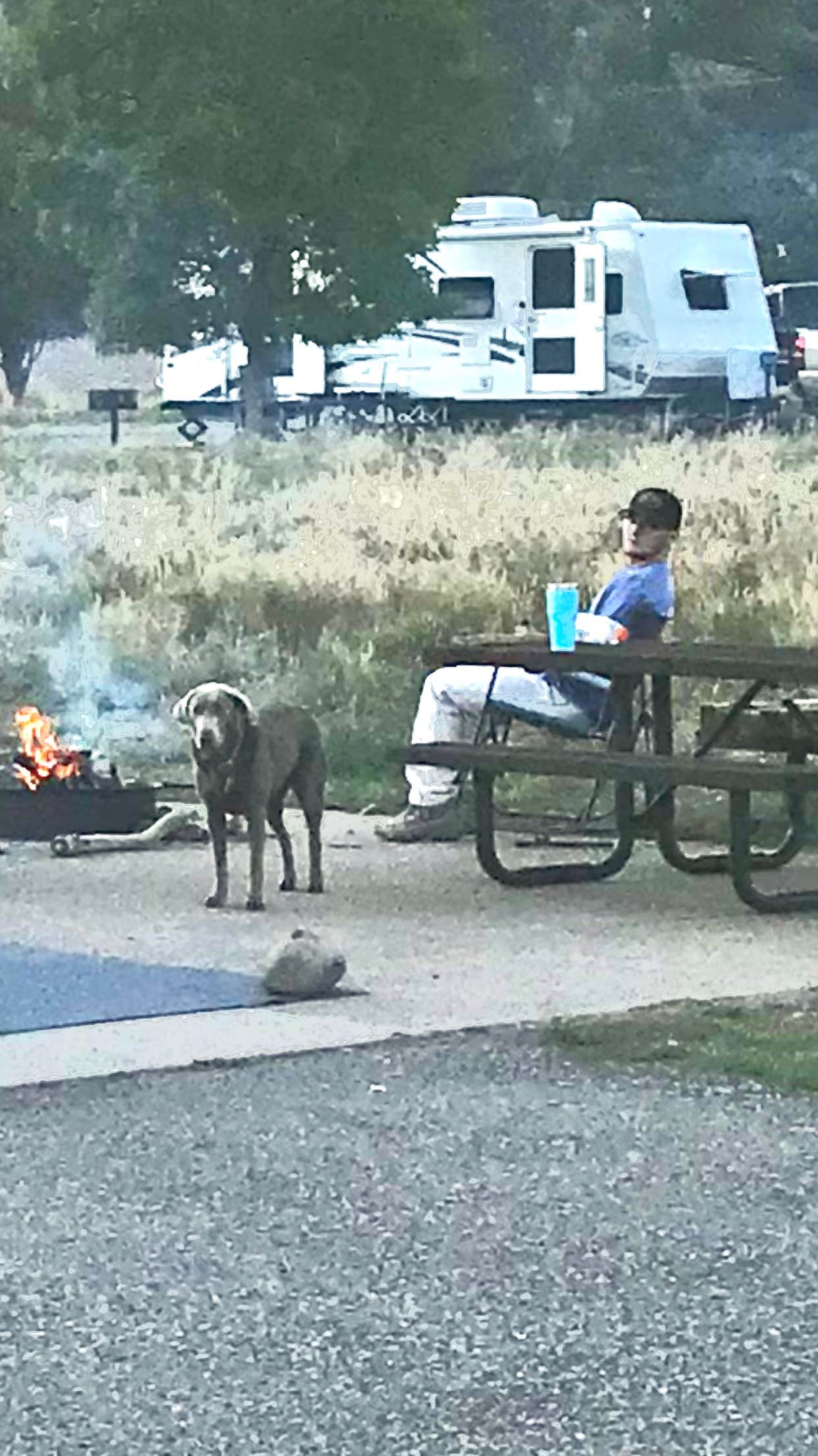 Bill M.'s photo of camping with pets at Pa-Co-Chu-Puk Campground — Ridgway State Park near Ridgway, CO
