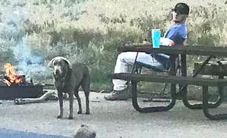 Bill M.'s photo of camping with pets at Pa-Co-Chu-Puk Campground — Ridgway State Park near Ridgway, CO