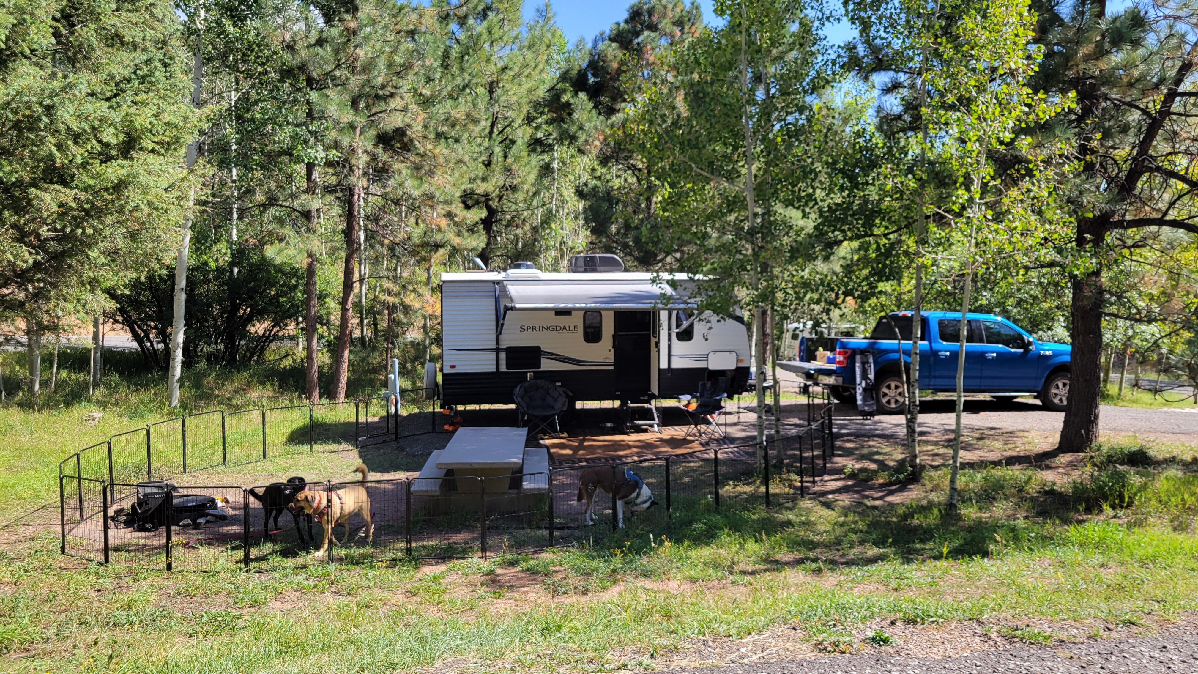 Camper submitted image from Hyde Memorial State Park Campground - 5