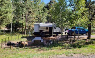 Jeffrey T.'s photo at Hyde Memorial State Park Campground near Tesuque, NM