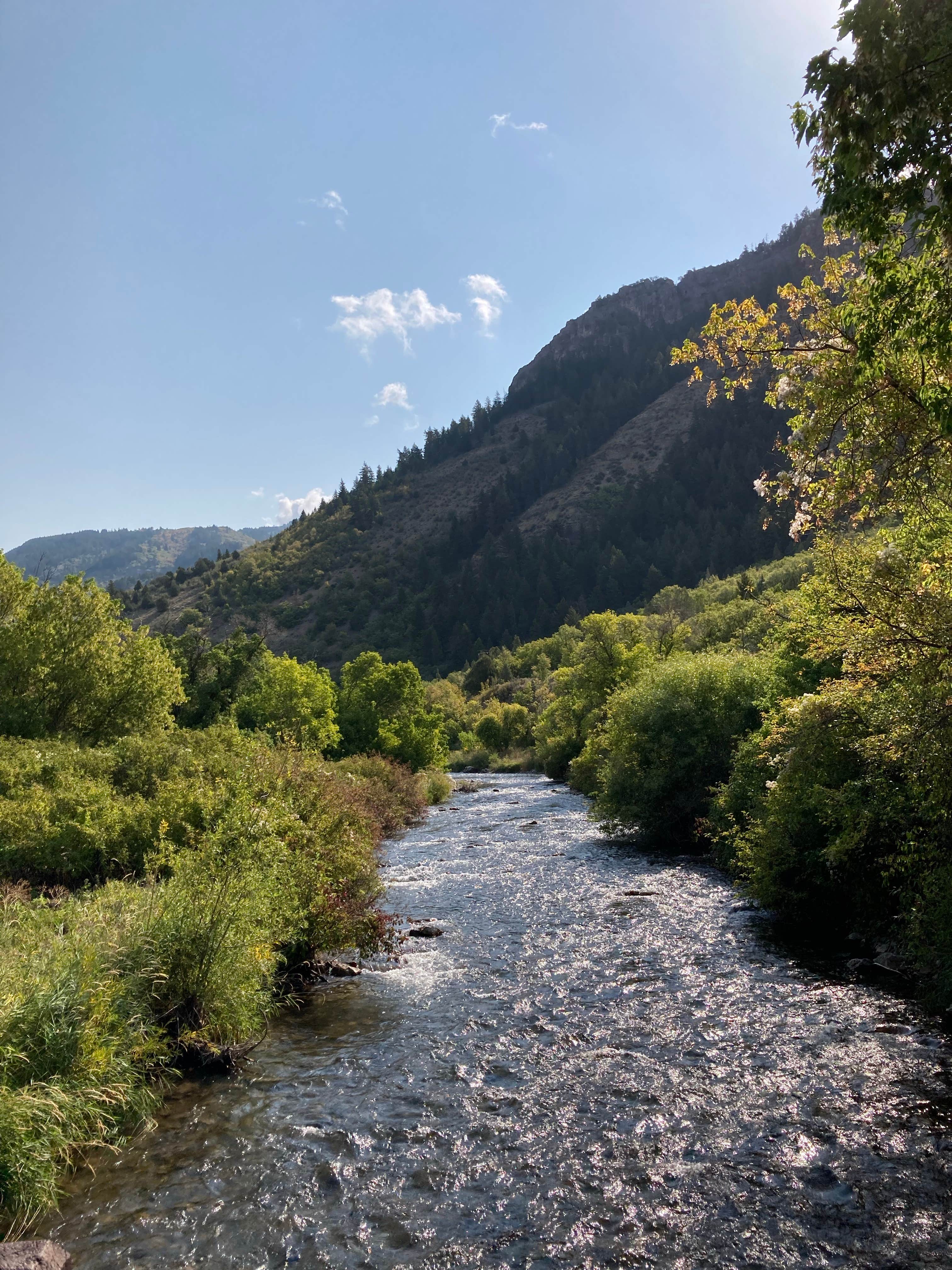 Camper submitted image from Bridger Campground - 1