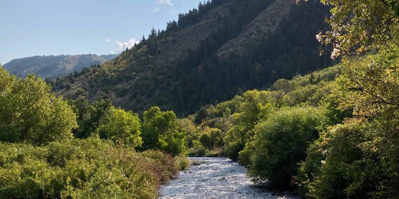 Camper submitted image from Bridger Campground