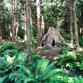 Review photo of Cape Lookout State Park Campground by Lisa M., June 30, 2018