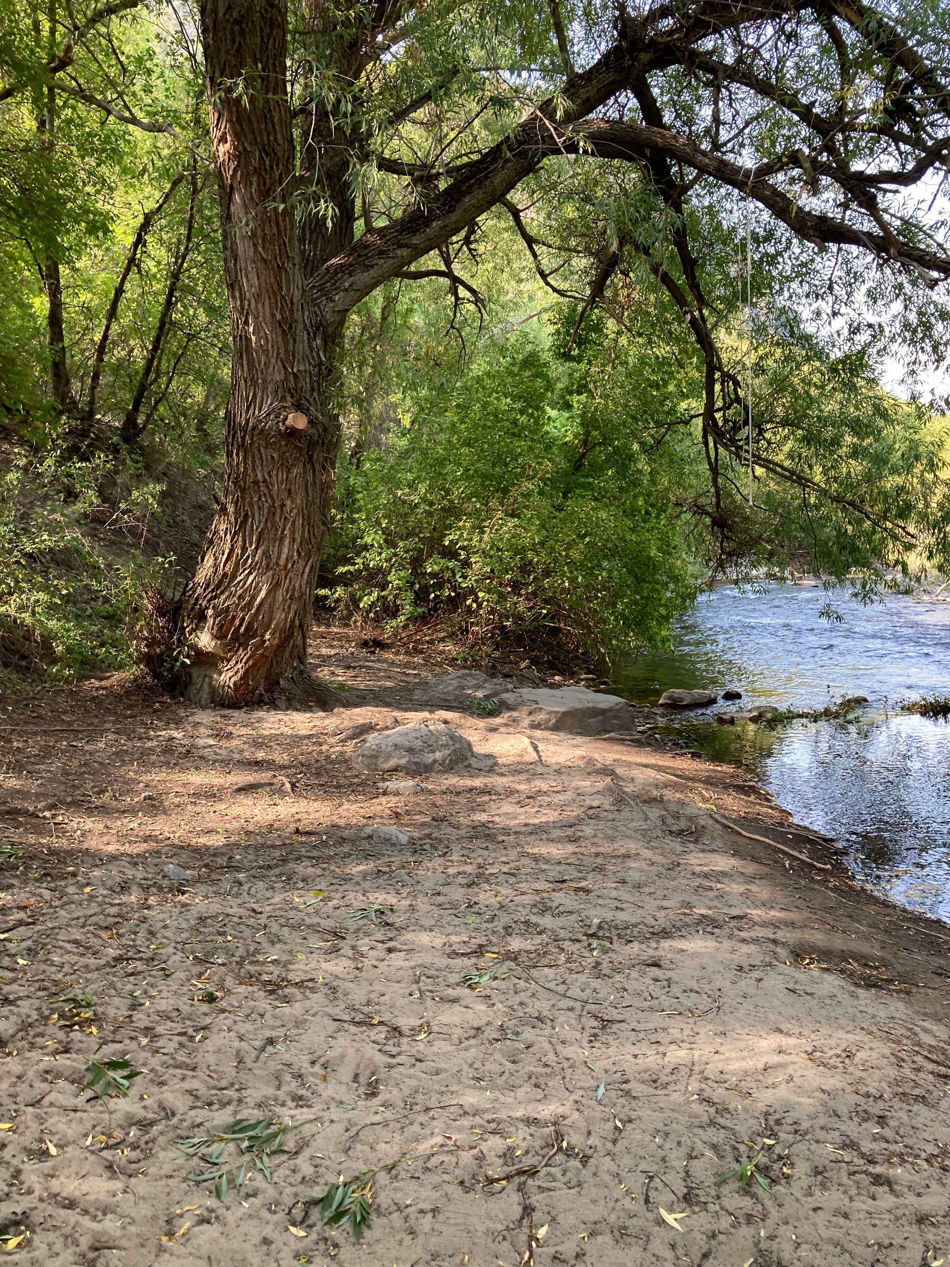 Camper submitted image from Bridger Campground - 4