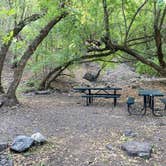 Review photo of Bridger Campground by GoWhereYouAreDraw N., September 20, 2021