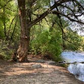 Review photo of Bridger Campground by GoWhereYouAreDraw N., September 20, 2021