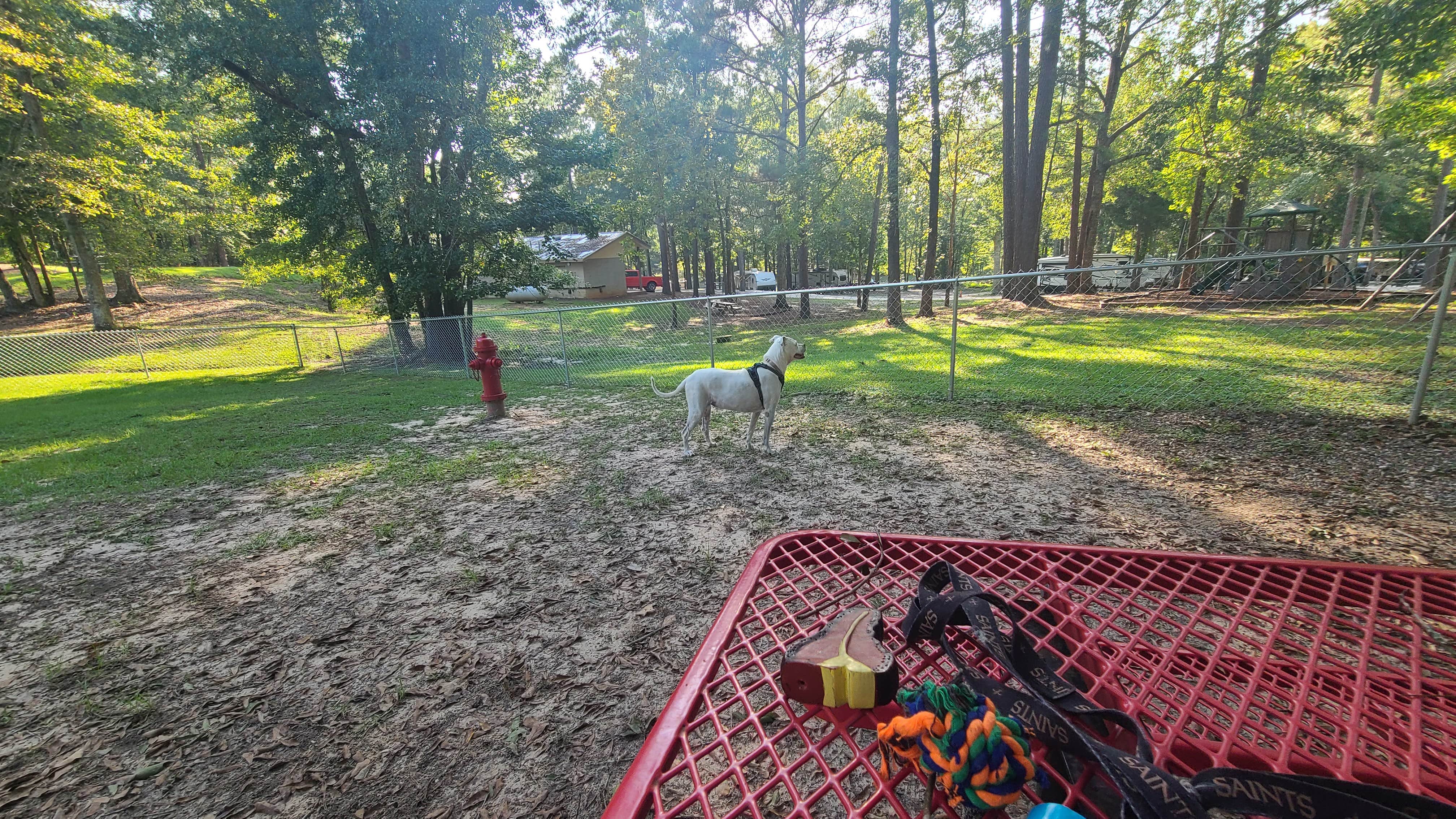 Camper-submitted photo at Sleepy Hollow RV Park near Raleigh, MS