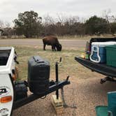 Review photo of Caprock Canyons State Park -  Honey Flat by Bill M., September 20, 2021