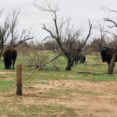 Review photo of Honey Flat Camping Area — Caprock Canyons State Park by Bill M., September 20, 2021