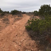 Review photo of Honey Flat Camping Area — Caprock Canyons State Park by Bill M., September 20, 2021
