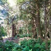 Review photo of Cape Lookout State Park Campground by Lisa M., June 30, 2018