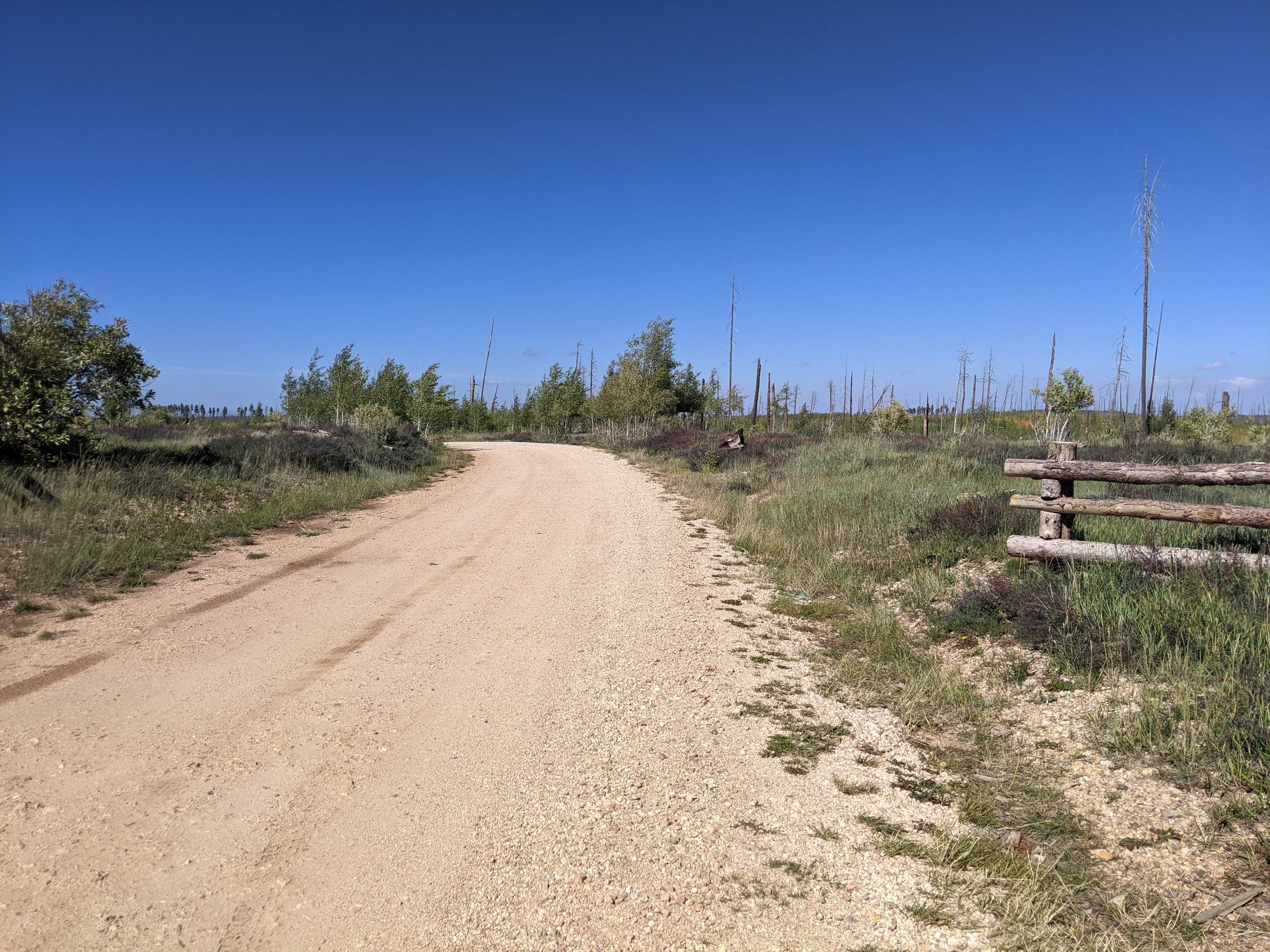 Camping near Indian Hollow Campground: Forest Road 241 - Dispersed Camping, Jacob Lake, Arizona
