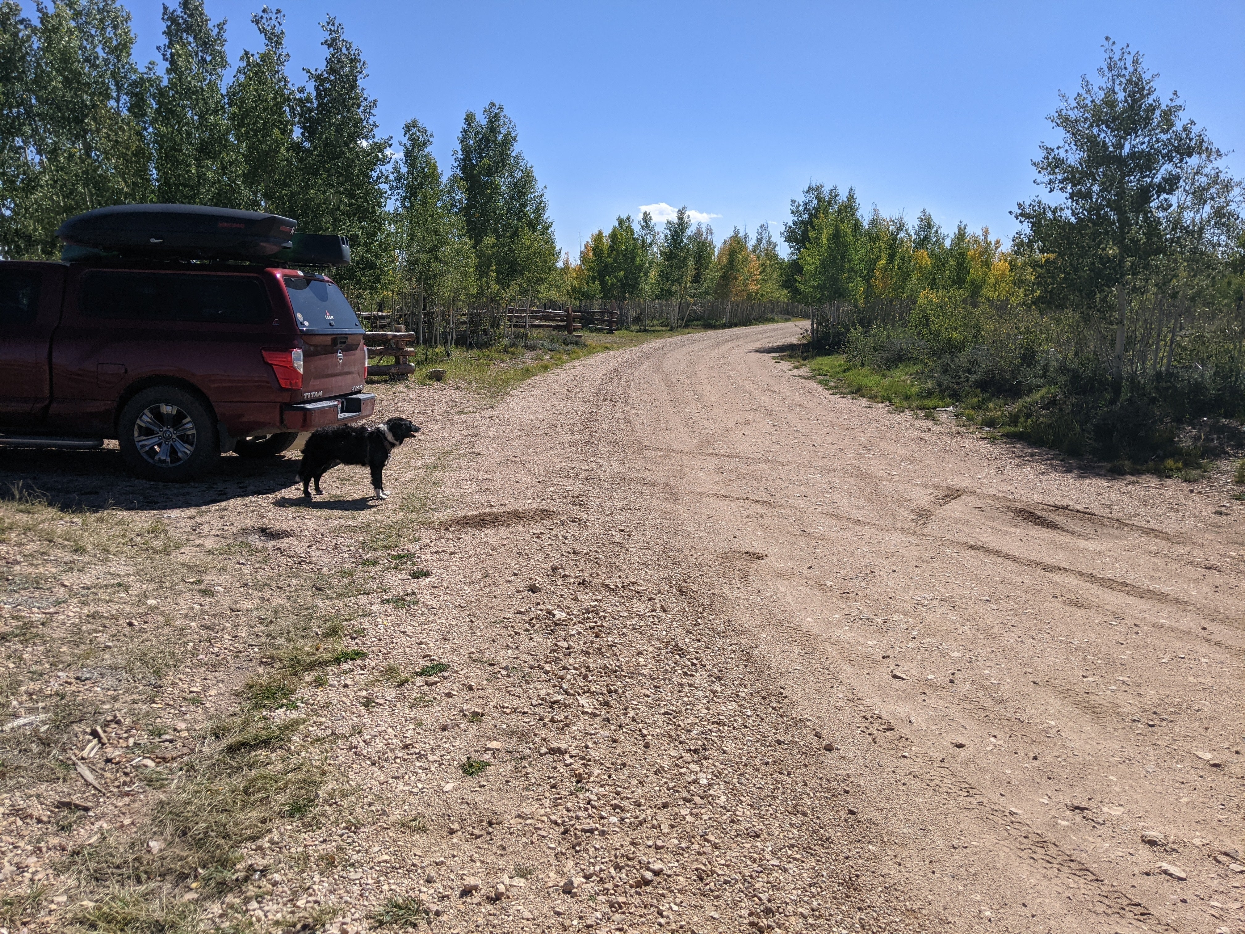 Camper submitted image from Forest Road 241 - Dispersed Camping - 5