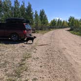 Review photo of Forest Road 241 - Dispersed Camping by Greg L., September 20, 2021