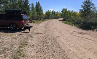 Greg L.'s photo of camping with pets at Forest Road 241 - Dispersed Camping near Supai, AZ