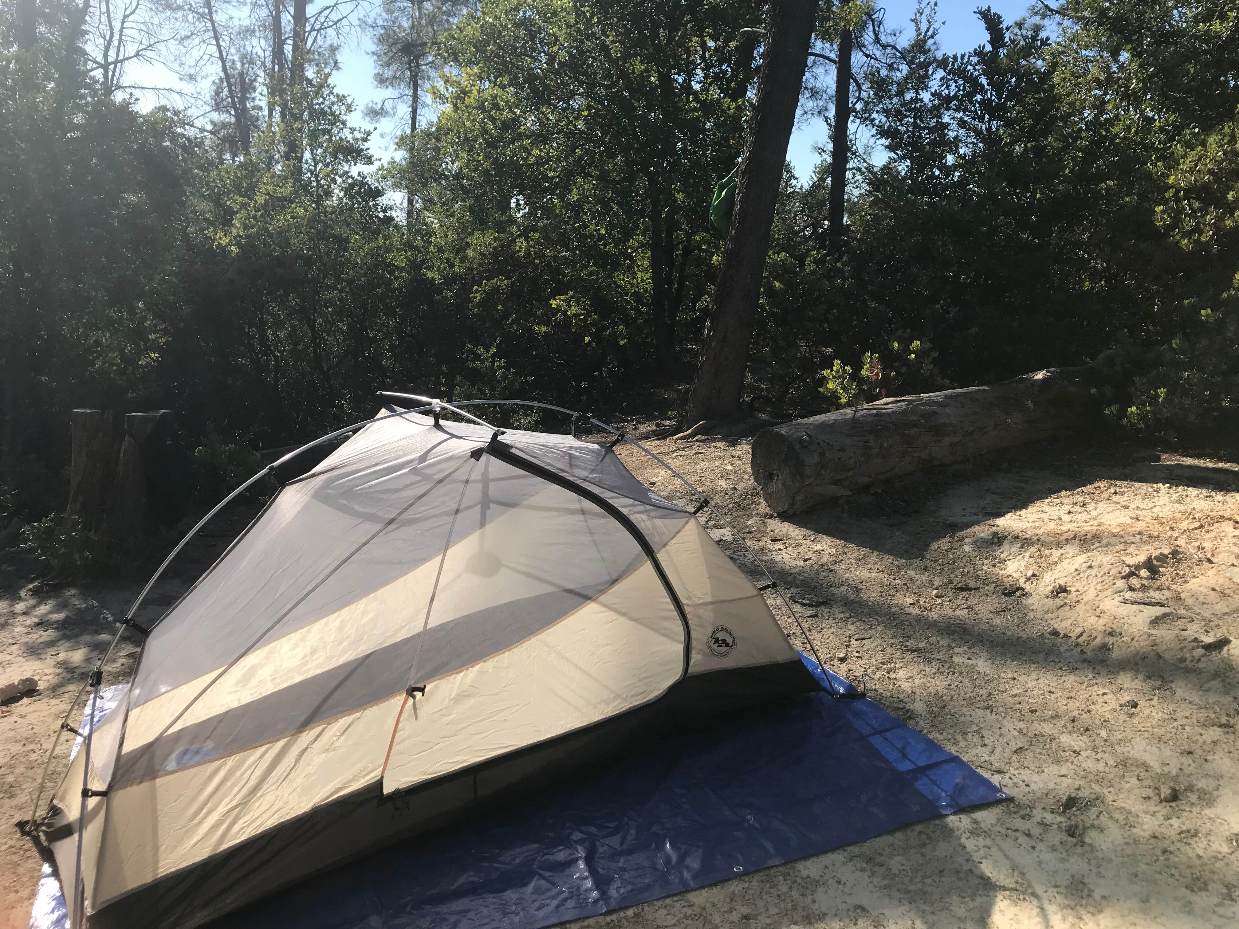 Castle rock trail camp online