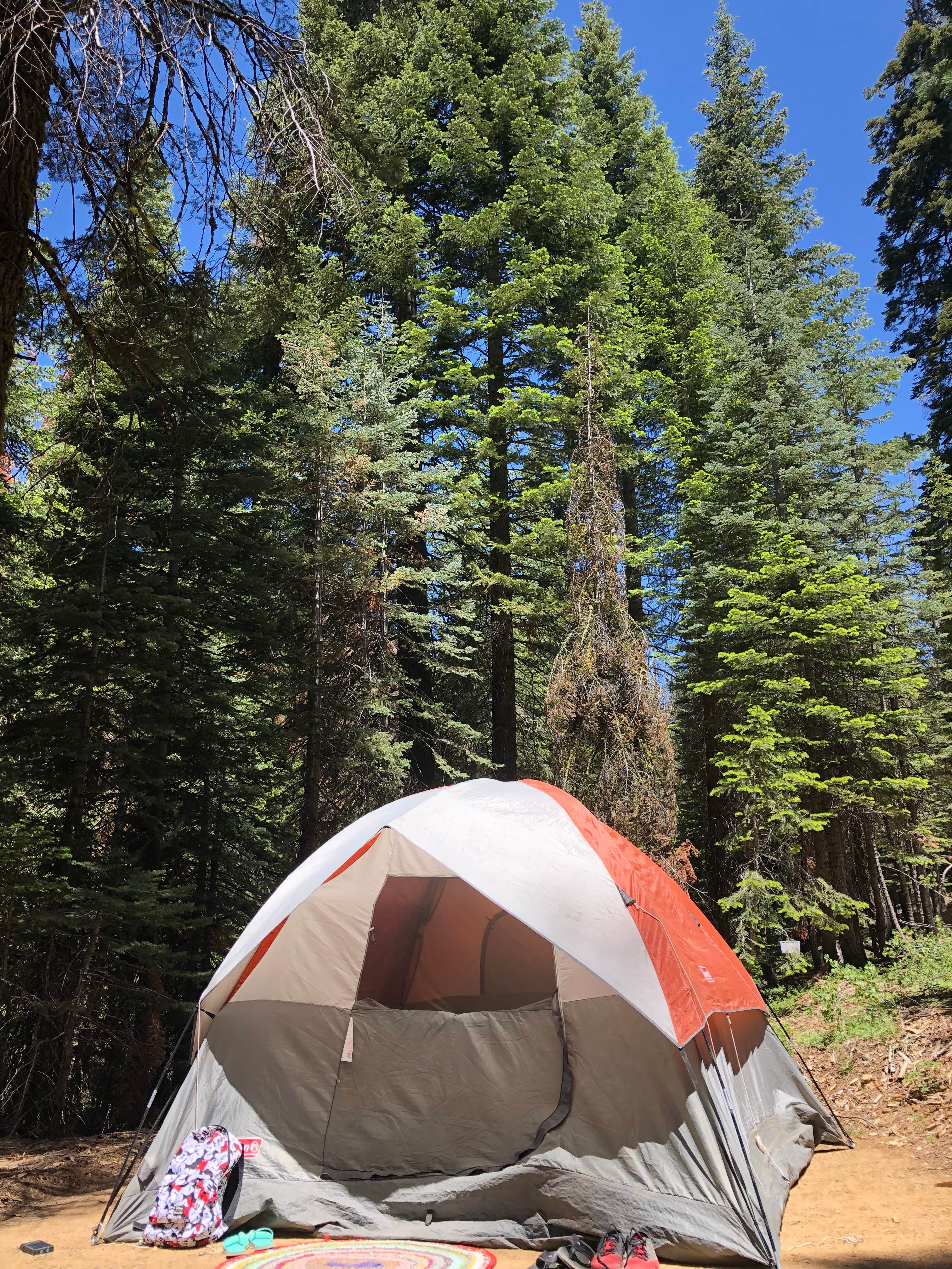 Genevieve L.'s photo at Upper Billy Creek Campground near Big Creek, CA