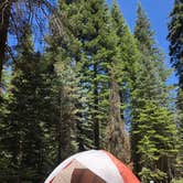 Review photo of Upper Billy Creek Campground by Genevieve L., June 30, 2018