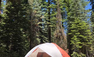 Genevieve L.'s photo at Upper Billy Creek Campground near Sierra National Forest