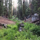 Review photo of Upper Billy Creek Campground by Genevieve L., June 30, 2018